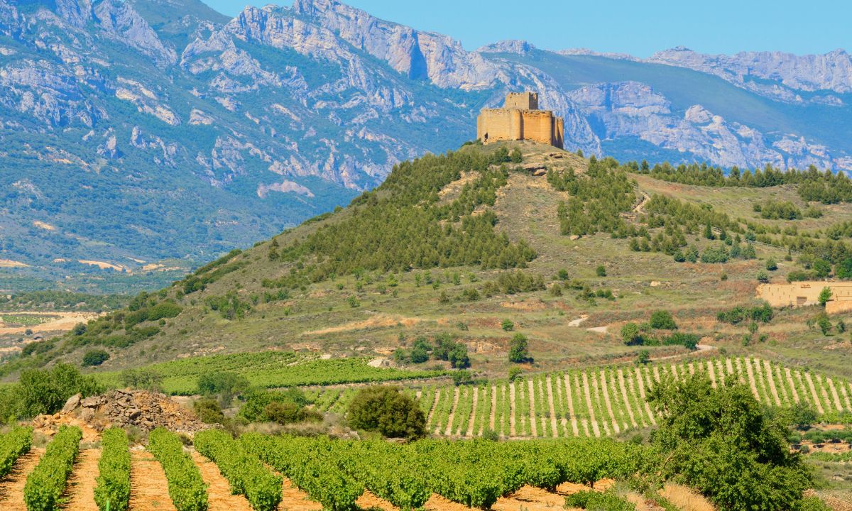 qué hacer en La Rioja